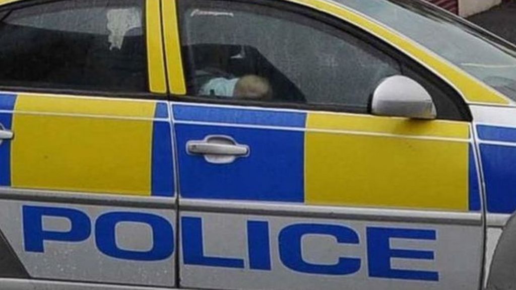 Petrol bombs thrown at house in east Belfast - BBC News