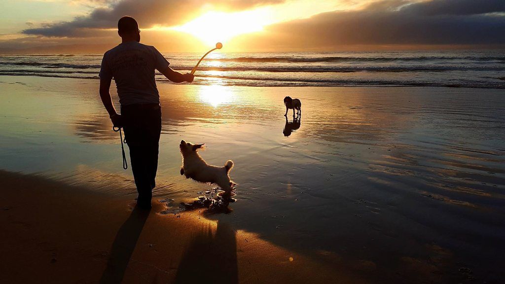 Northern Ireland weekend sunshine picture gallery