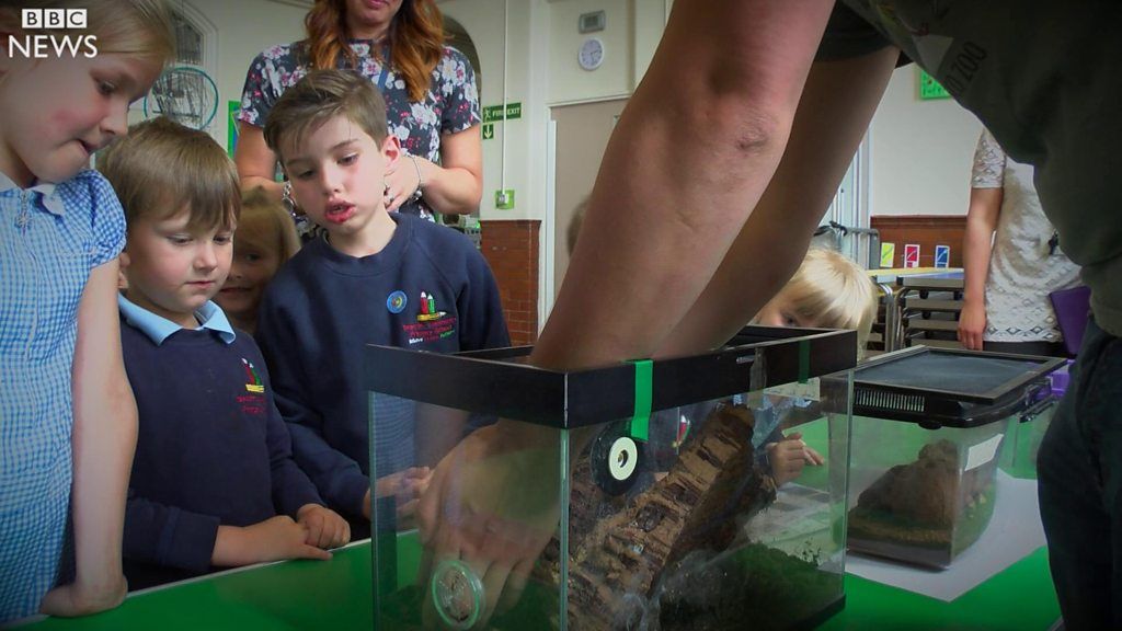Derbyshire pupils experience UK's 'first Spider School'