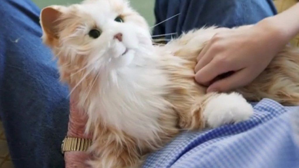 Robotic pet cat goes on sale and other tech news BBC News