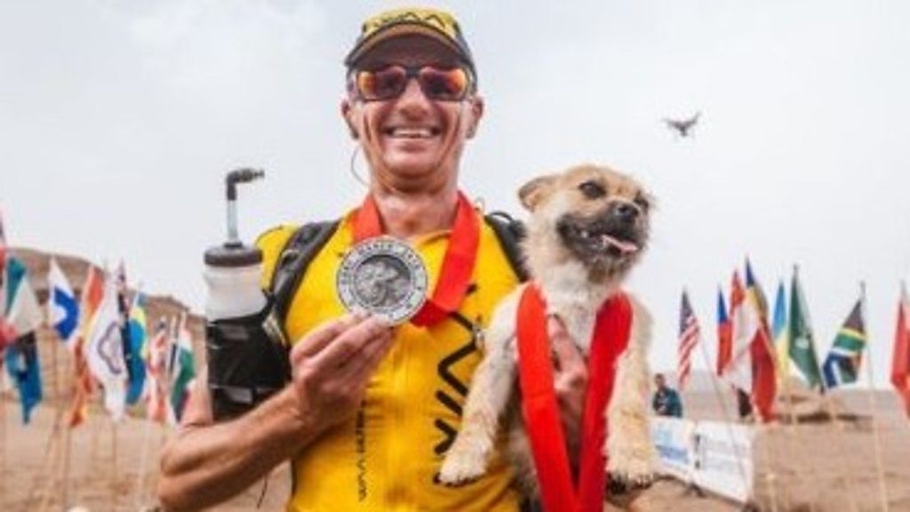 Gobi the dog 'adopted' a runner