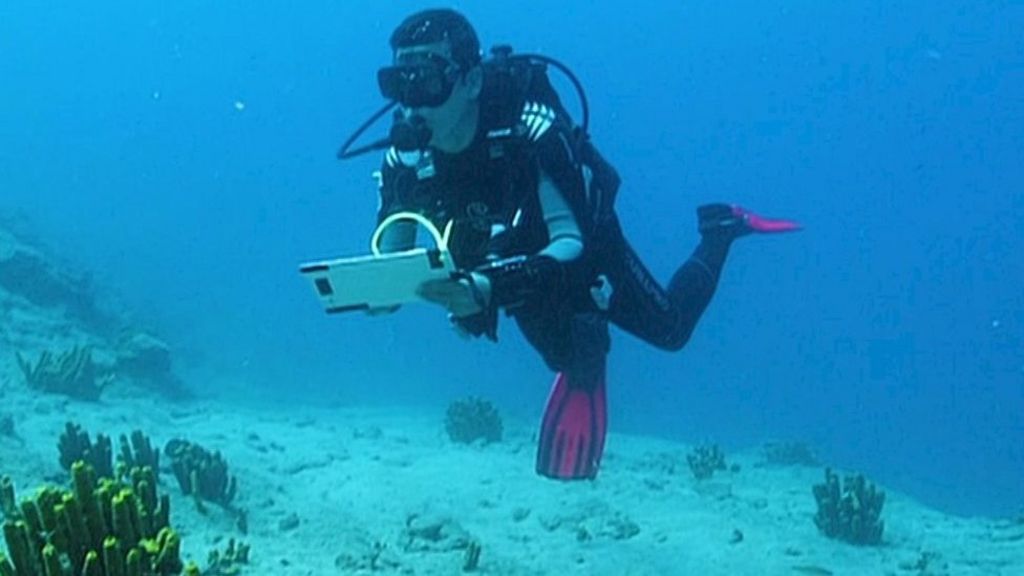 2017 Whitley Gold Award winner: 'Fish loved me but people didn't'