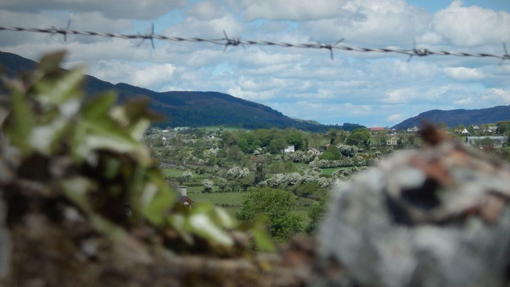 What happens to Irish border after Brexit?