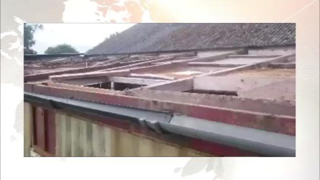 Strong winds rip roof from shed and pigeon house
