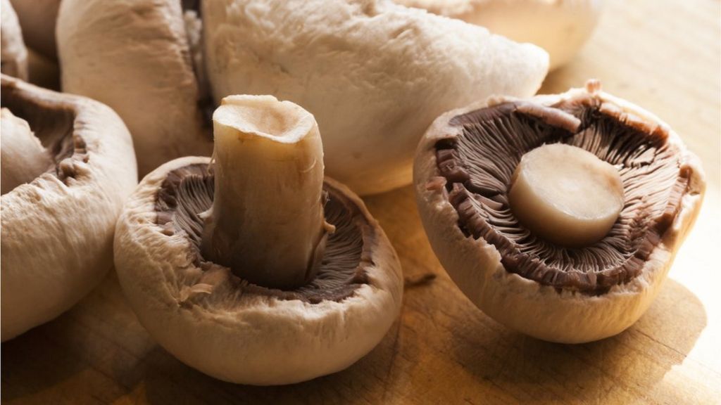 Microwave mushrooms 'to keep their goodness', scientists say