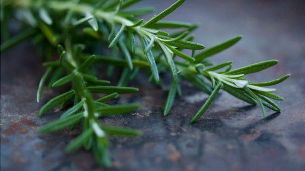 Exam revision students 'should smell rosemary for memory' BBC News