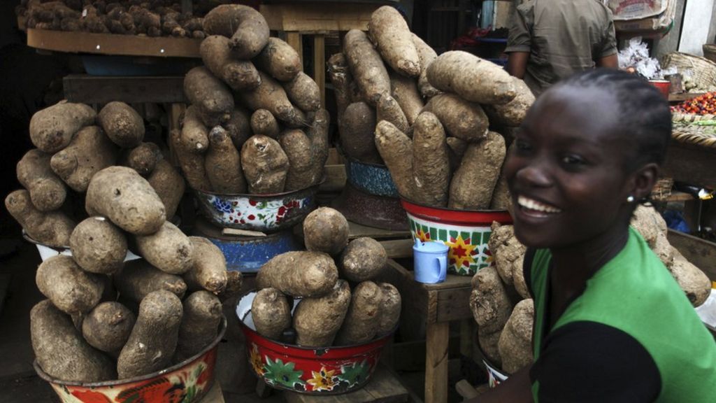 Can Nigeria's yams power a nation? BBC News