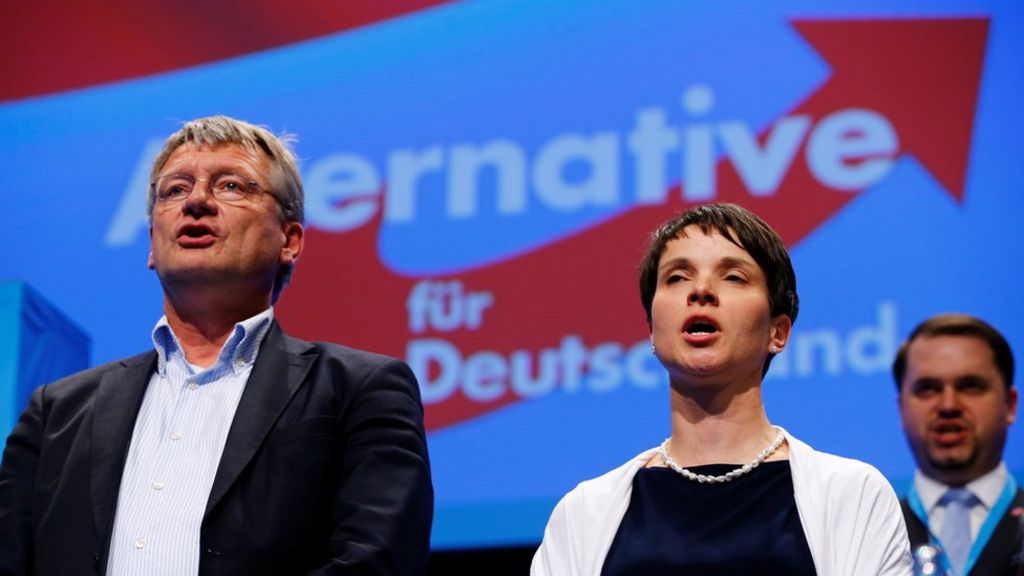 What Does Alternative For Germany Afd Want Bbc News