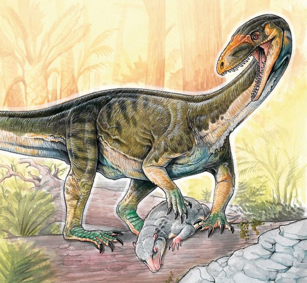 Early dinosaur relative walked like a croc - BBC News