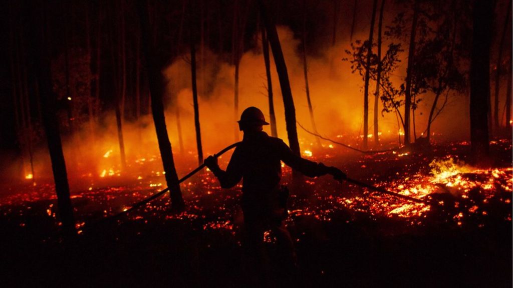 Why Portugal's wildfires are so deadly