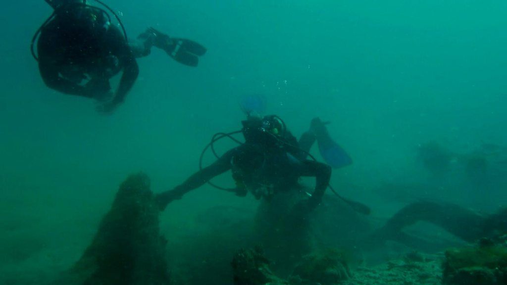 Ancient underwater forest found in US