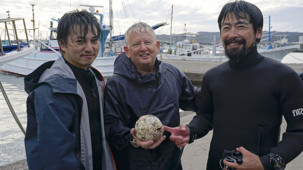 San Francisco shipwreck: Divers find cannonball clue i News Today Blog