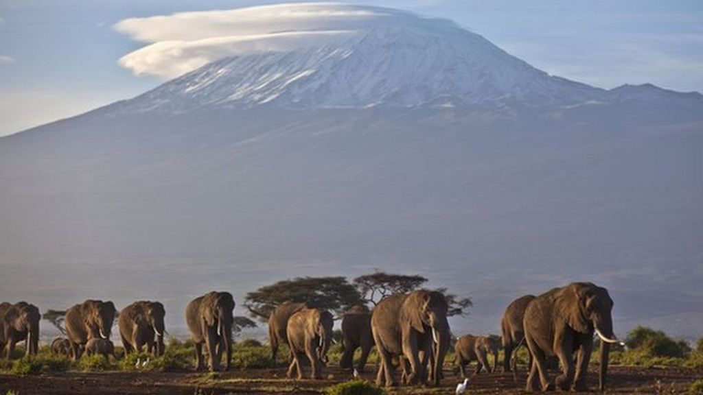 Irish woman dies on Mount Kilimanjaro