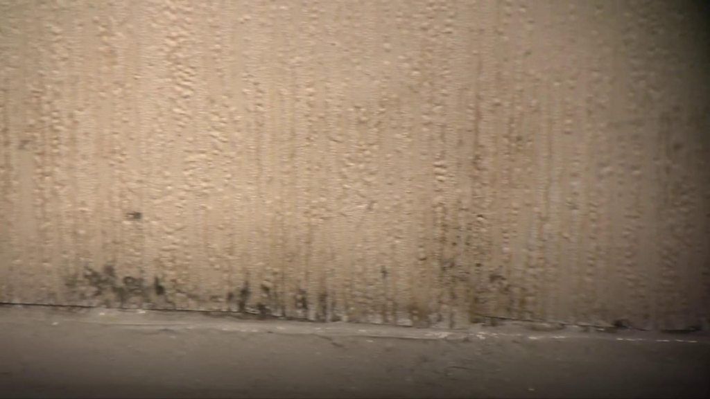 'Horrendous' scale of cavity wall insulation problems