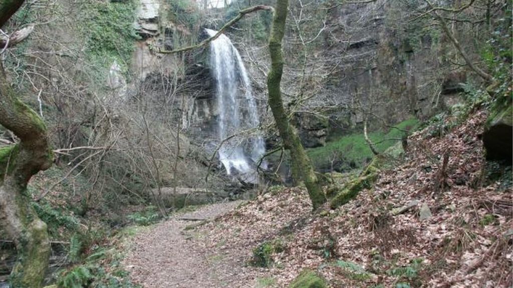 Woman and child, 8, rescued near Melincourt Falls, Neath