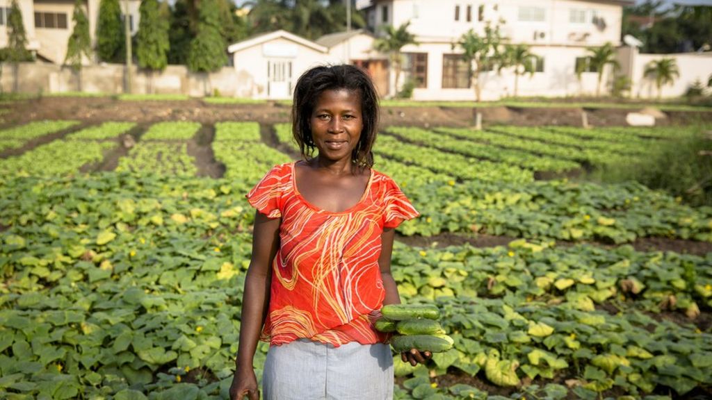 Raw waste water use on farms is '50% higher' than estimated