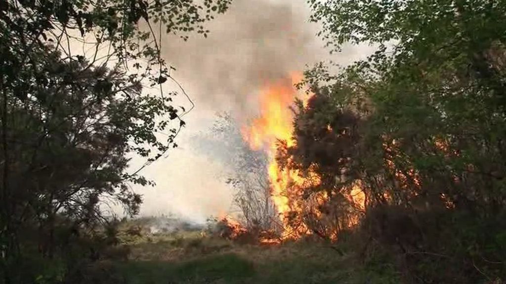 More than 200 deliberate gorse fires in 'tinderbox landscape'