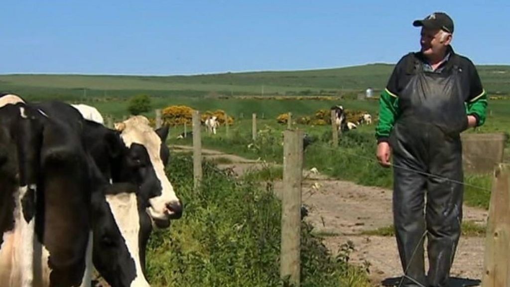 Haverfordwest abattoir collapse a disaster, says dairy farmer