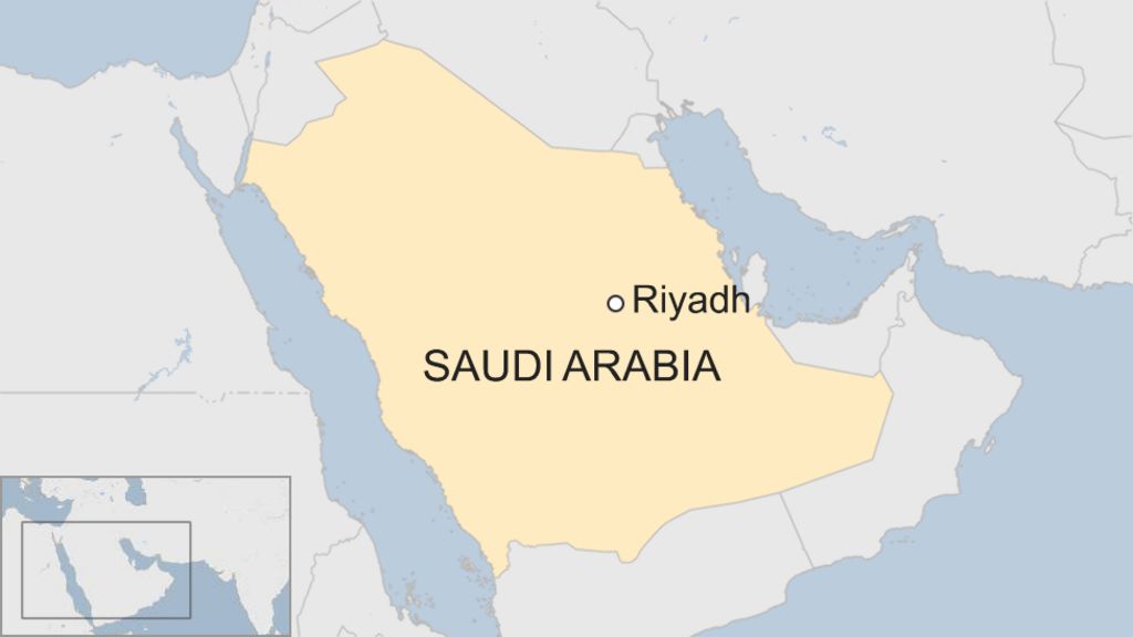 Saudi princes held in anti-corruption investigation - BBC News