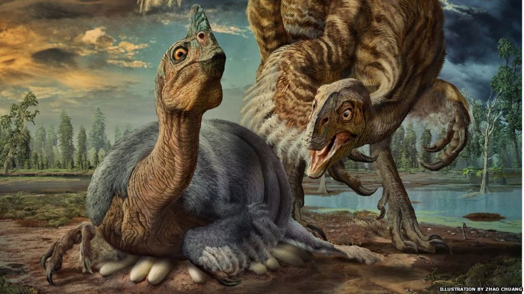 Identity of famous baby dinosaur fossil revealed