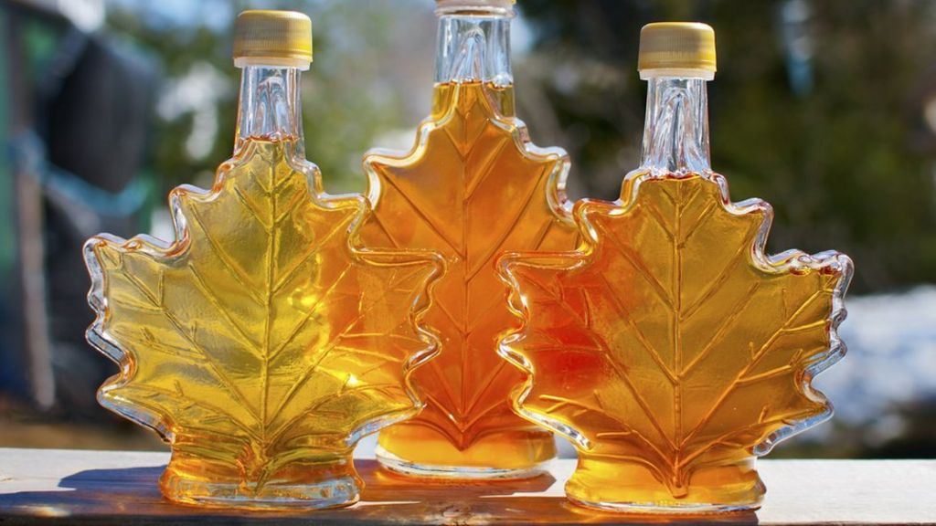 Canada's maple syrup 'rebels' BBC News