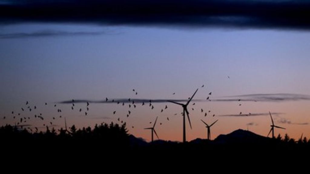 UN looks to protect birds from green energy threats