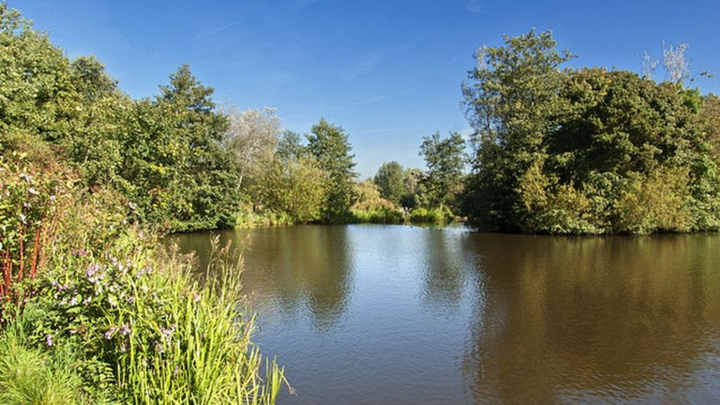 Ellen Higginbottom murder case: Man arrested