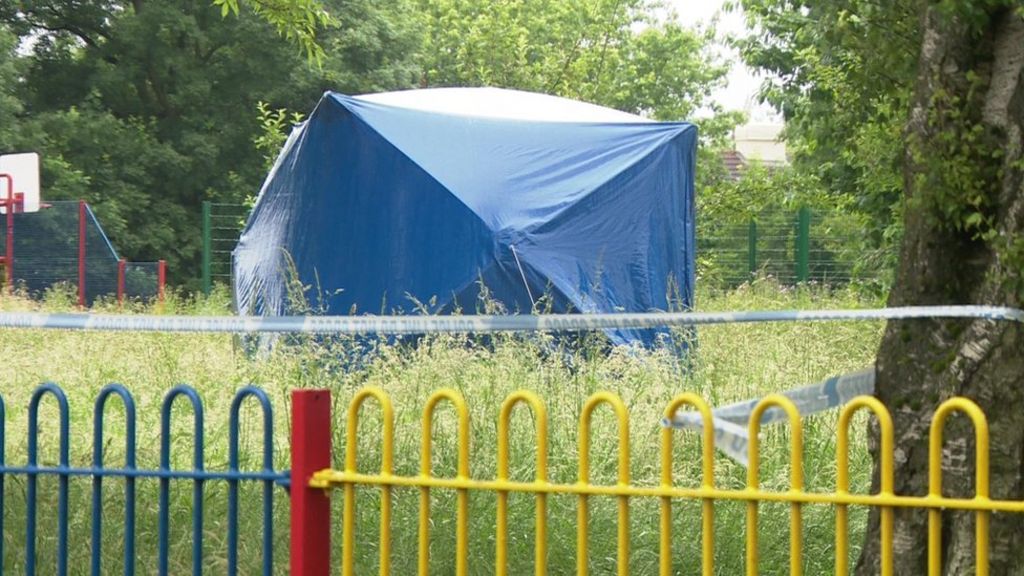 Boy, 16, in court over rape of girl, 8, in Manchester park