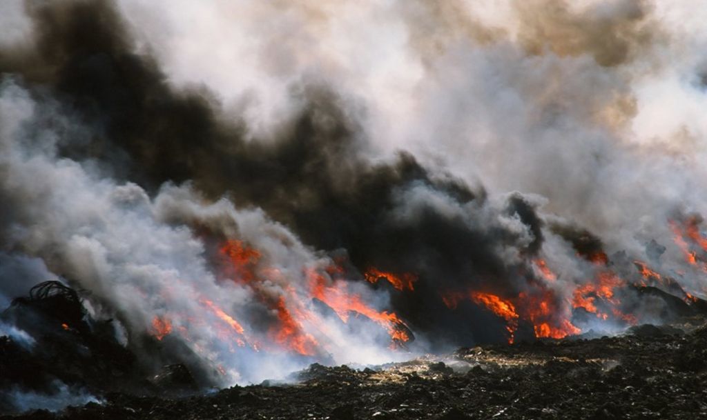 When footandmouth disease stopped the UK in its tracks BBC News