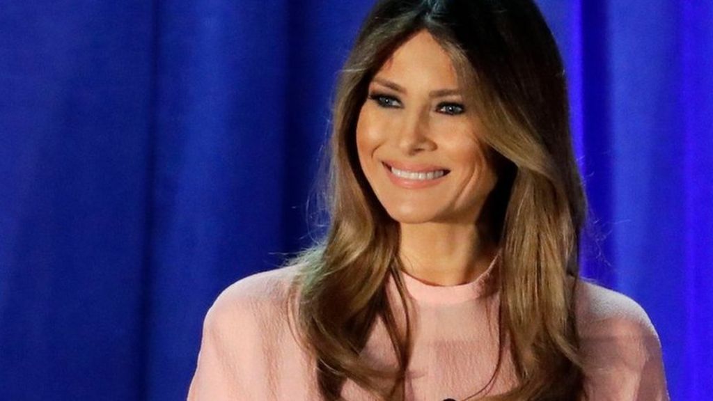 Melania Trump Hooker Remark Nyt Reporter Apologises Bbc News