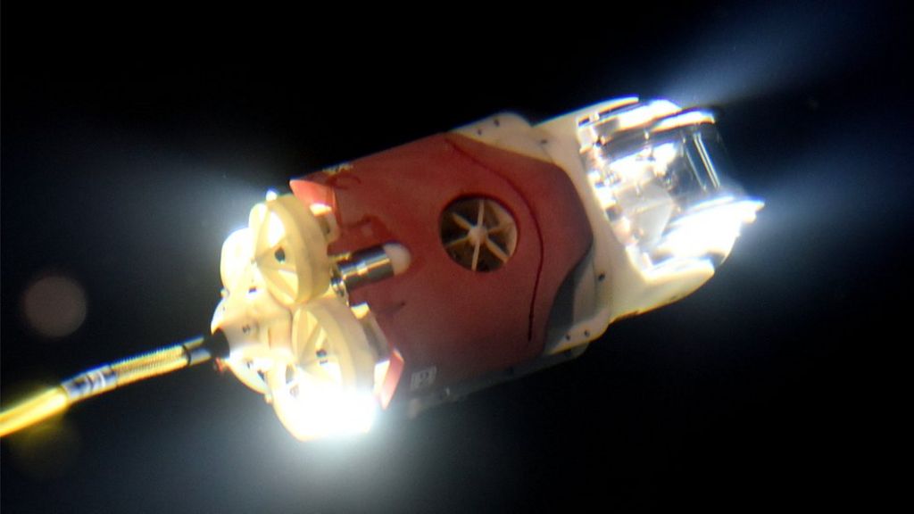 'Little sunfish' robot to swim in to Fukushima reactor