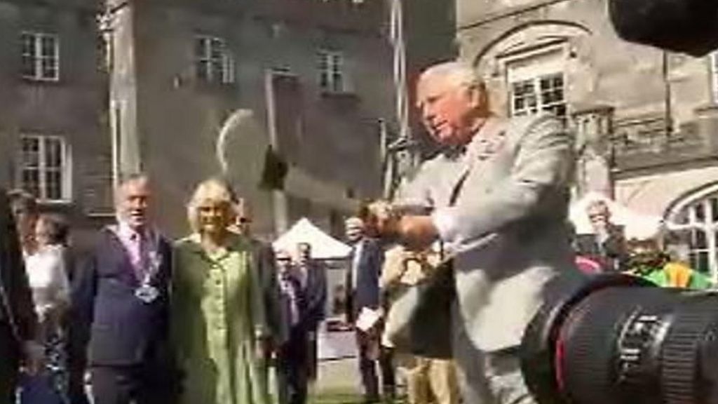 Prince Charles tries hurling in Kilkenny
