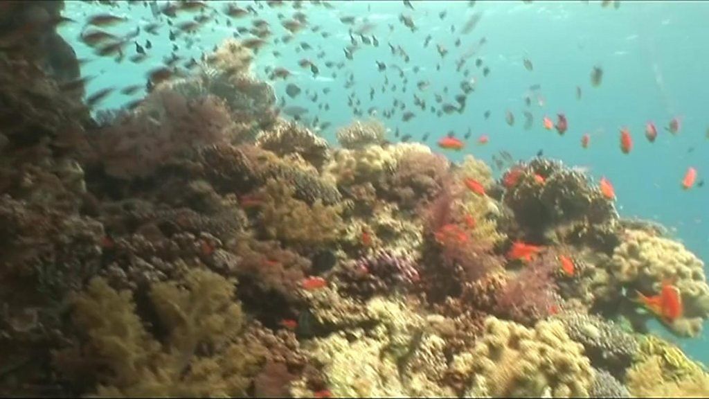 Do the oceans need new rules?