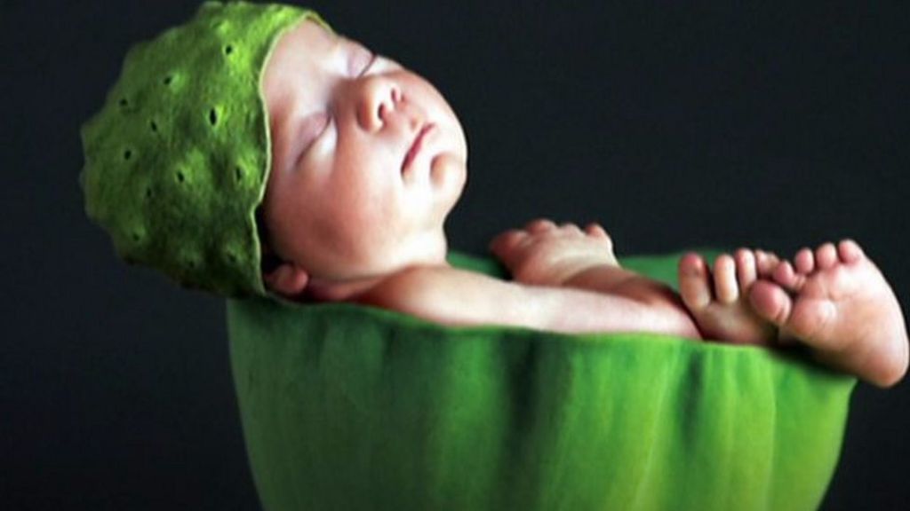 baby photographer anne geddes