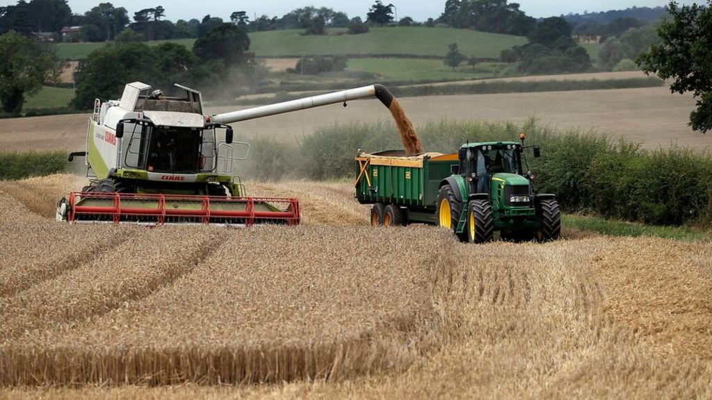 Waste products not crops key to boosting UK biofuels