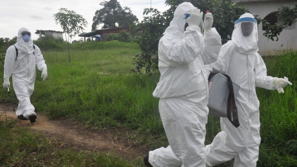 Ebola countries record first week with no new cases - BBC News