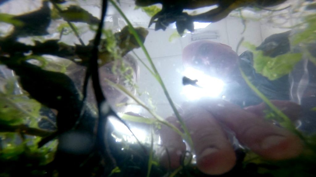 How washing our clothes is polluting oceans