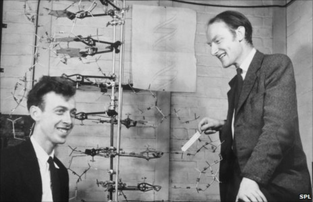 Francis crick contribution to dna picture