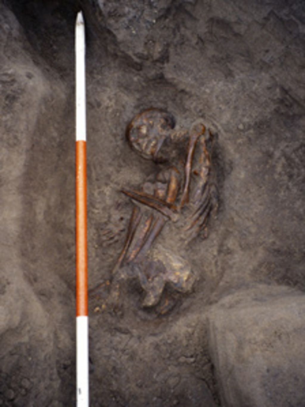Scottish prehistoric mummies made from jigsaw of body parts BBC News