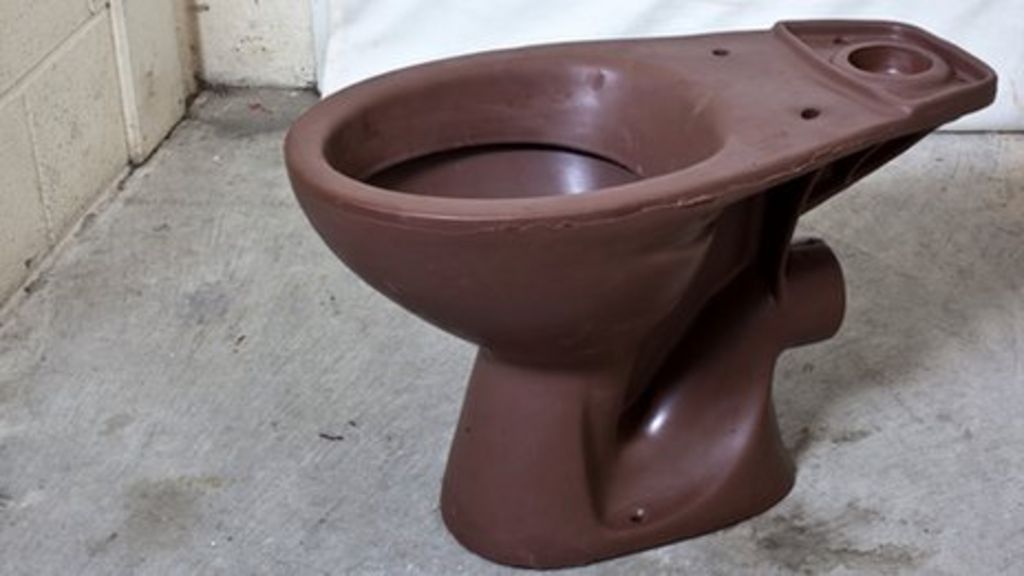 Brighton artist moulds milk chocolate toilet BBC News