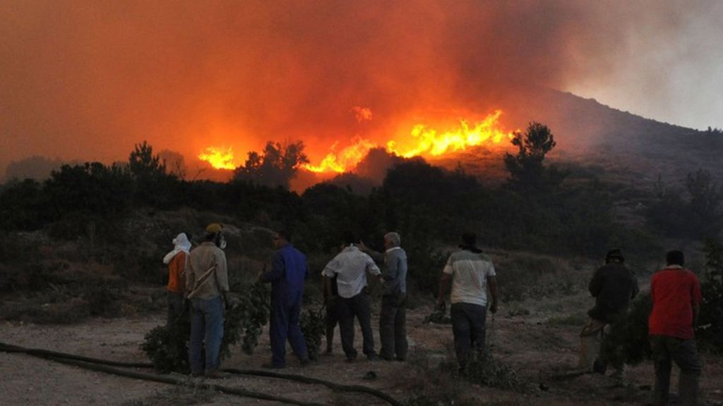 Image result for wildland fires in chios greece