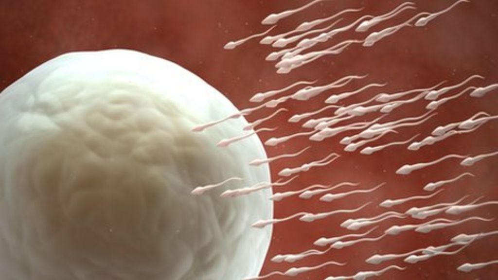 Us Scientists Aim To Make Human Sperm From Stem Cells Bbc News 9499