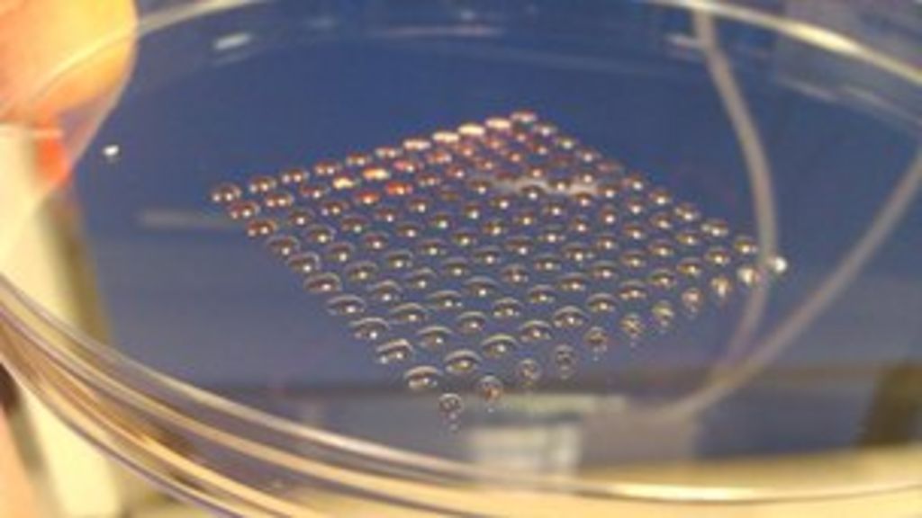 Edinburgh scientists use 3D printing to produce stem cells BBC News