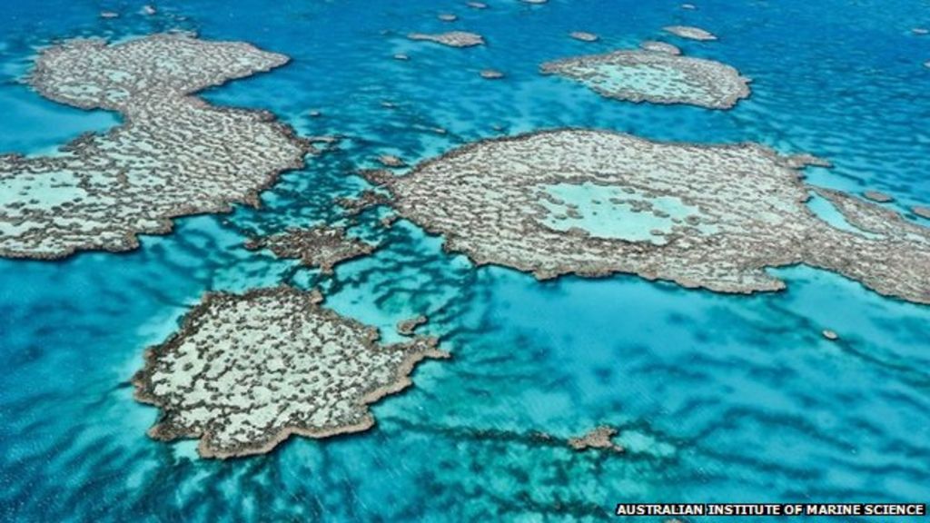 an overview of the environment of the coral reefs New evidence is emerging that shows that the human population’s obsession with all things plastic is poisoning one of the world’s natural wonders: coral reefs. an overview of the environment of the coral reefs New evidence is emerging that shows that the human population’s obsession with all things plastic is poisoning one of the world’s natural wonders: coral reefs.