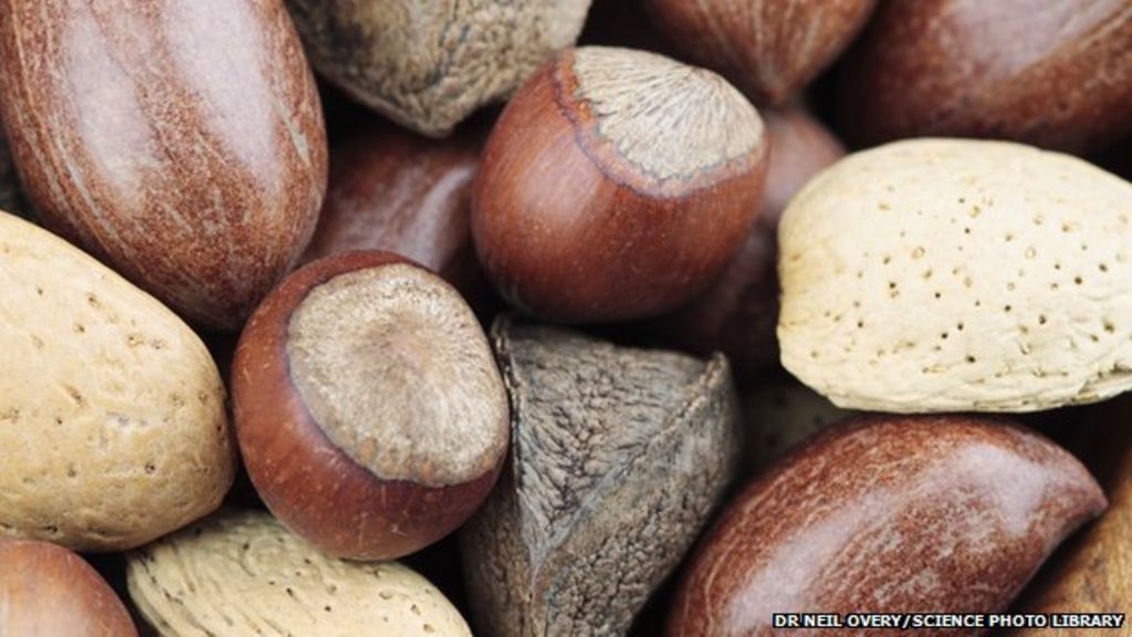 eating-nuts-during-pregnancy-may-curb-allergies-bbc-news