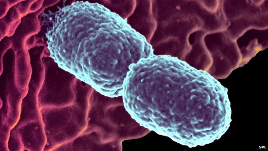 Antibiotic resistance rise continues BBC News