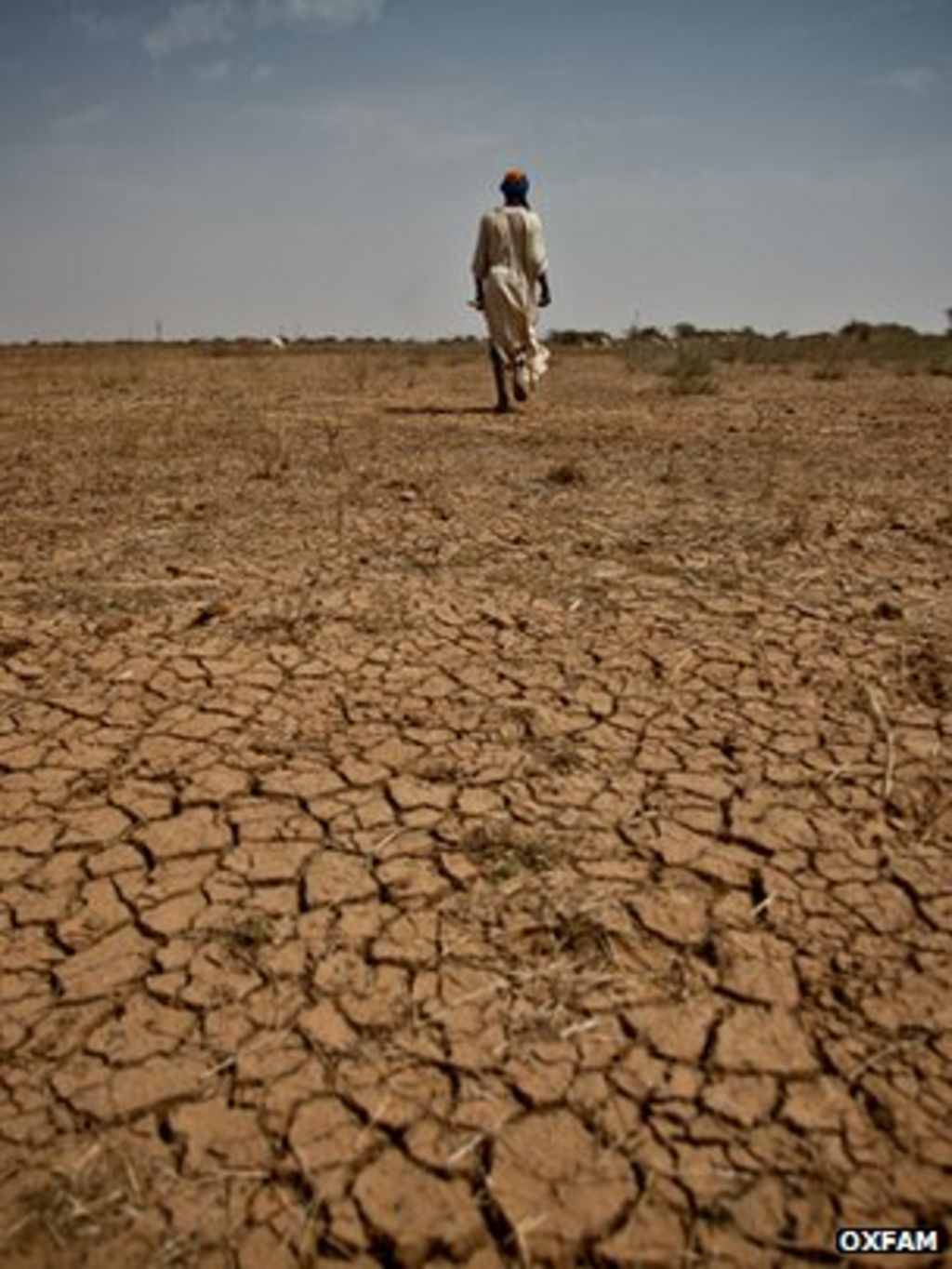 african-soil-crisis-threatens-food-security-says-study-bbc-news