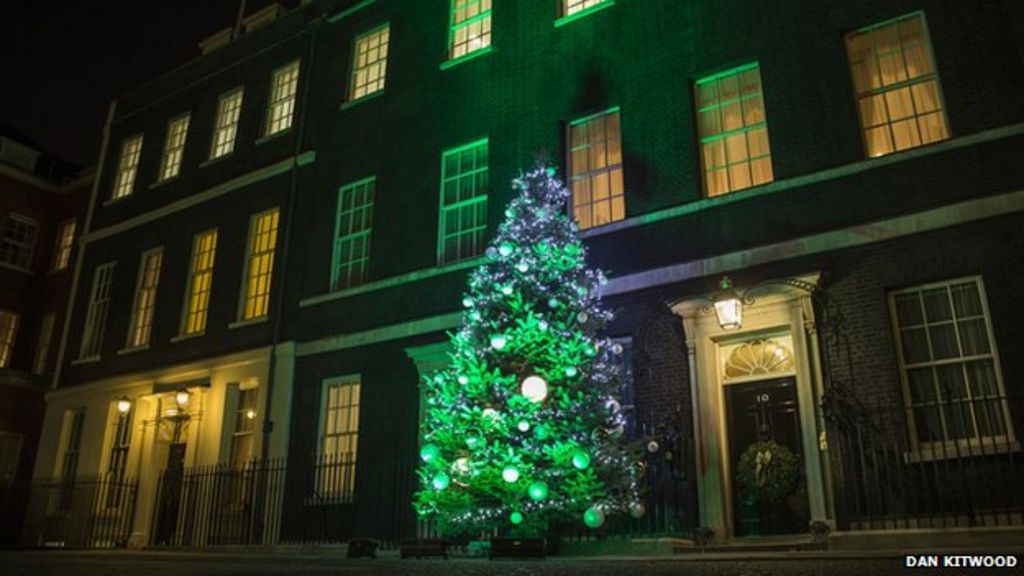 herefordshire christmas tree decorates downing street herefordshire christmas tree decorates downing street