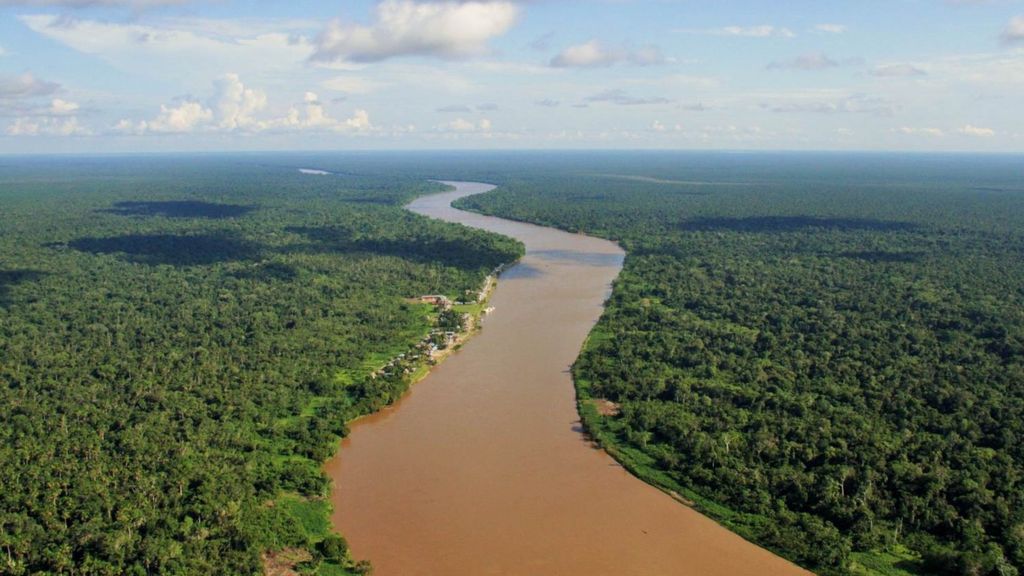 Amazon peatlands are 'most carbon-dense ecosystem' - BBC News