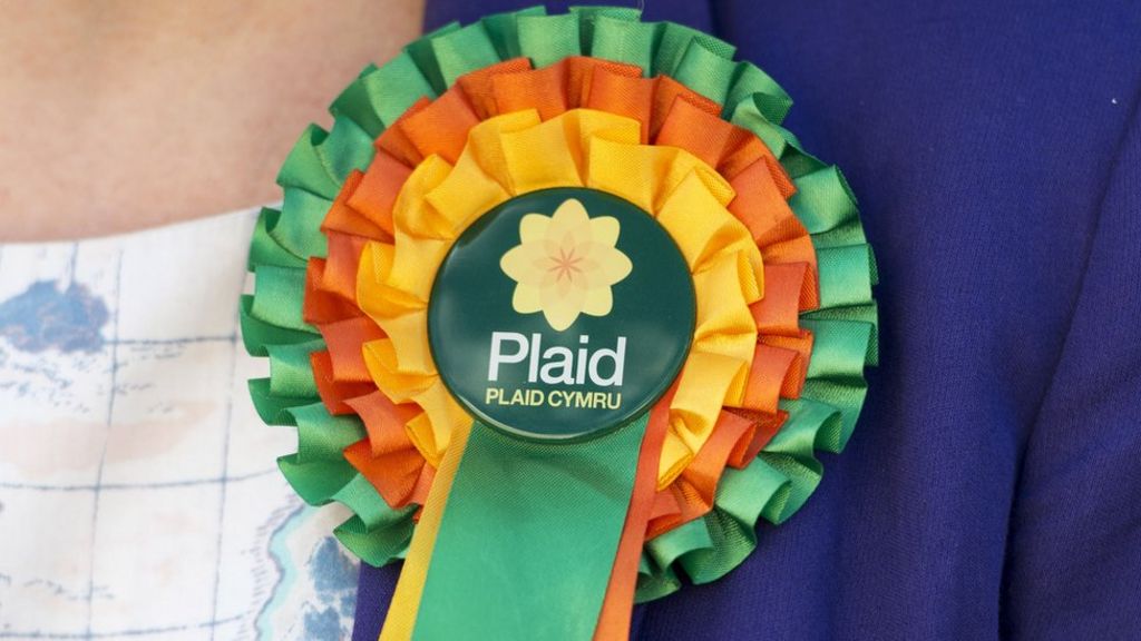 Plaid manifesto pledge to protect Wales from 'tidal wave'